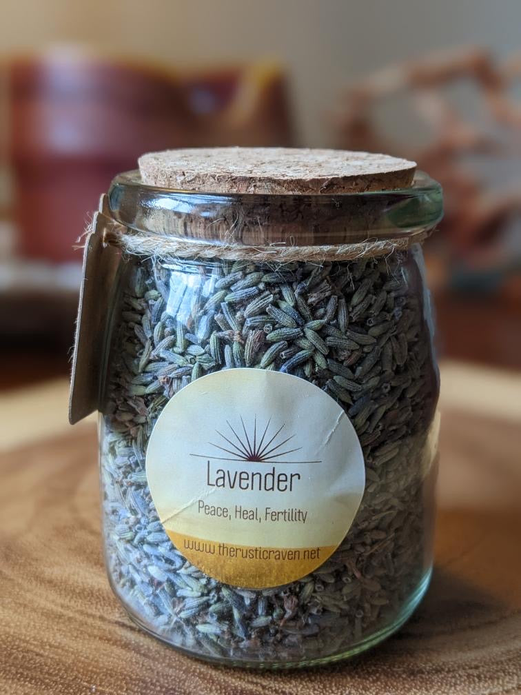 Lavender Herb